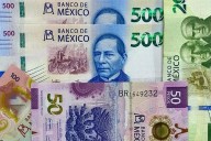 Cumpliremos lo que nos pongan en la Ley: AMIS