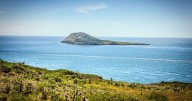 Remote island with more sheep than people and no electricity needs new tenants