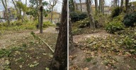 Cronista local | Las denuncias de los vecinos de Ourense hoy, domingo, 12 de octubre