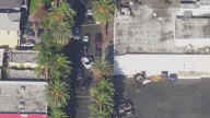 U.S. Marshal, undocumented immigrant shot during ICE operation in South LA: DHS