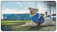Bolts Reveal Name of Newest Chargers Pup