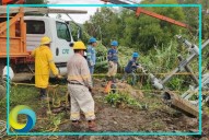 CFE restablece al 100 % el servicio eléctrico en regiones afectadas por fuertes lluvias