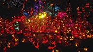 Here's what makes the Jack-o-Lantern Spectacular so spectacular