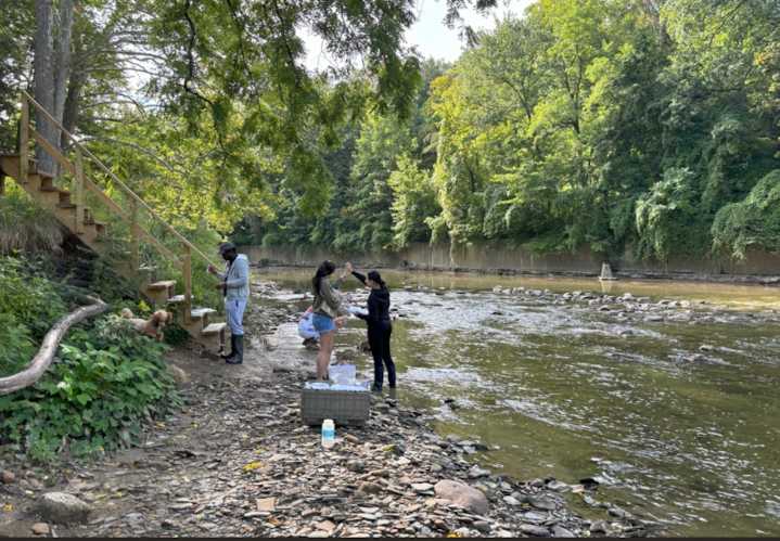 Chagrin River’s strangely colored crayfish the latest in unusual animal sightings in Ohio