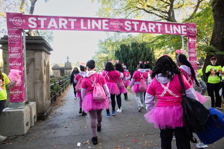 A step closer to healing: The annual Making Strides Against Breast Cancer is back in Central Park on Oct. 19