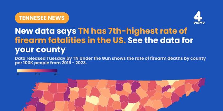 State Democrats release data analysis saying guns are the top cause of death for kids in Tennessee