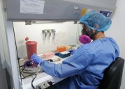 El Gobierno reglamentó la ley que amplía el registro de datos genéticos en investigaciones criminales