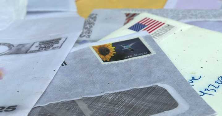 Mail found opened and thrown into a ditch in Durham County :: WRAL.com