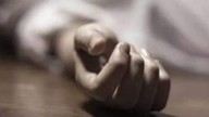 UP man kills wife with hammer over ‘daily fights’, arrested