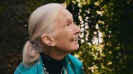 What Sustainable Fashion Can Learn From Dr. Jane Goodall