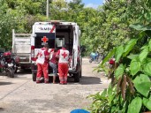 Alacrán pica a mujer y la manda al hospital en Tizimín