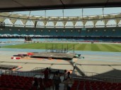 Stray Dogs bite Foreign coaches at Para Athletics Championships