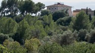 Las fotos de la histórica finca de Son Puigdorfila Nou, donde el Ayuntamiento de Palma construirá 542 viviendas