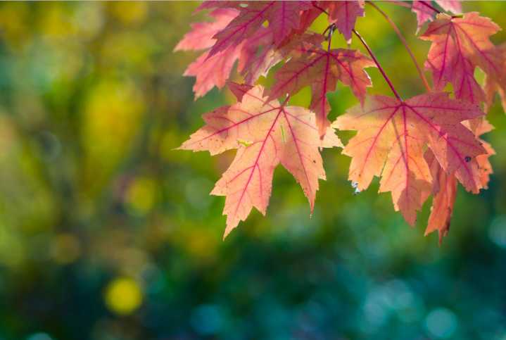 Fall Weather Brings Potential Winds and Rains to SoCal