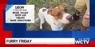Furry Friday: Meet Leon!