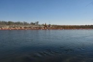 Sheinbaum asegura que México cumplirá con entrega de agua a EU