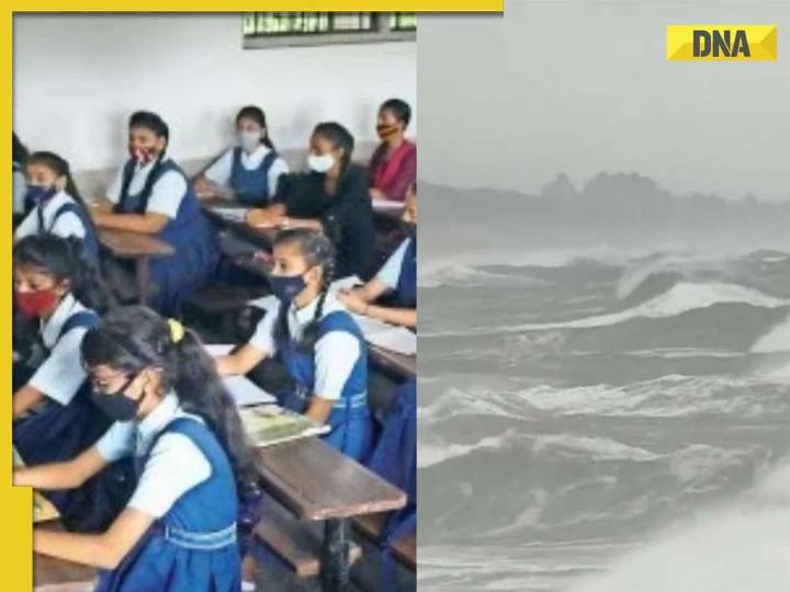 Cyclone Montha Update: These states have declared school holidays as cylone inte