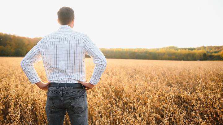 La soya sostenible fortalece la seguridad alimentaria