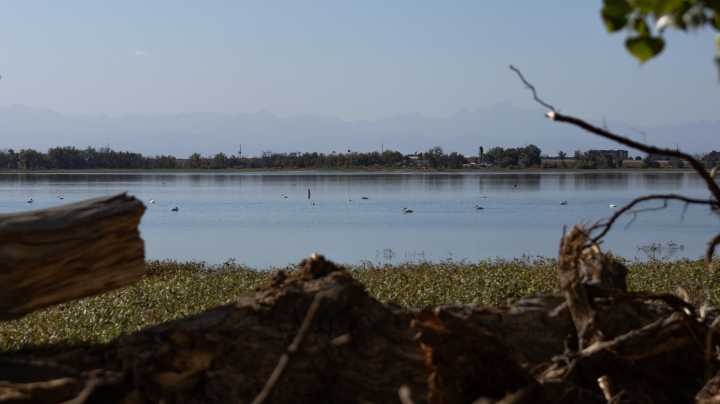 Bird Conservancy of Rockies cut over "DEI" accusation