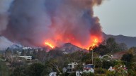 How Did the Pacific Palisades Fire Start? Update on the Possible Cause