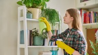 Think Twice About Using This DIY Spray To Banish Cockroaches
