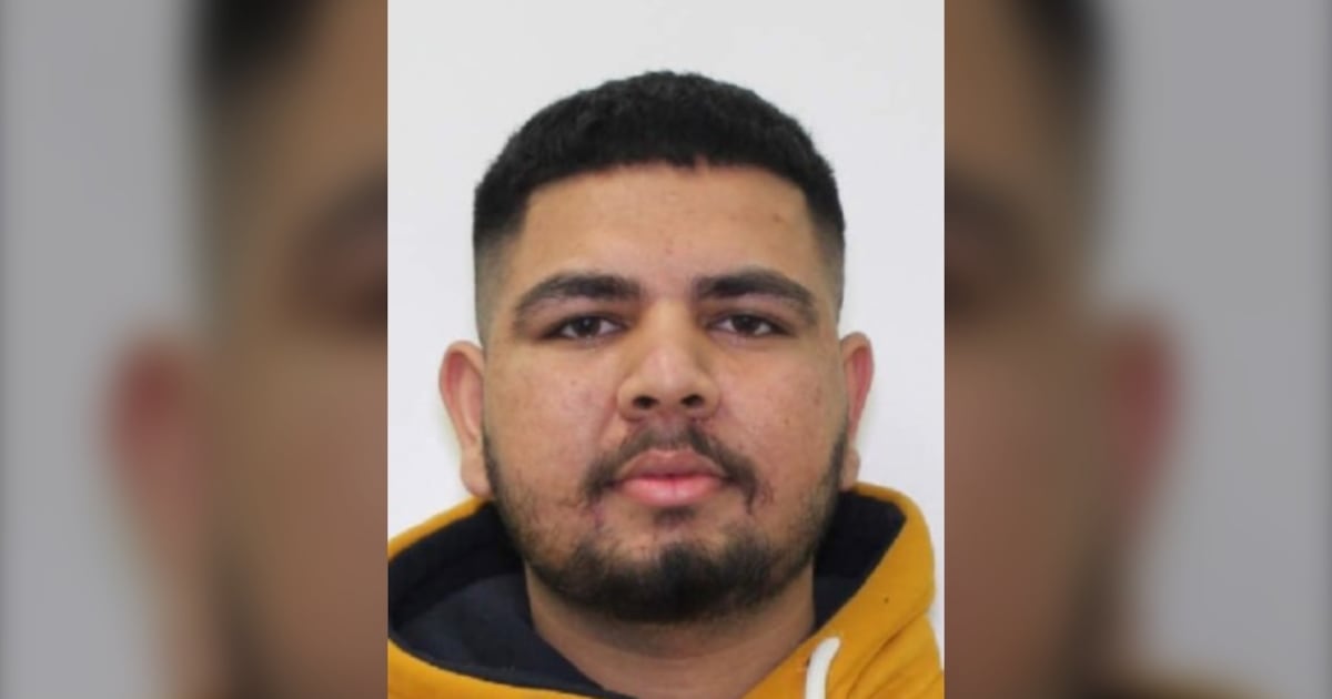 Semi driver granted bail after allegedly killing two in Manitoba crash, fleeing country