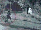 Detienen a hombre que atacó a mujer en calle de Valdivia: la intentó ahorcar con bufanda