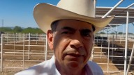 Sonora refuerza medidas para evitar la entrada del gusano barrenador