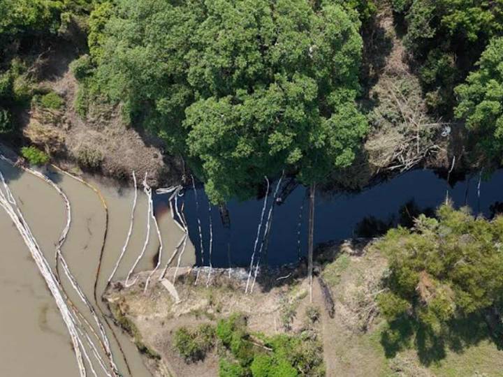 Exige UNBIO remediación inmediata en Río Pantepec, tras severo derrame de Pemex