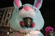 ‘Operation Inflation’ collecting costumes for Portland ICE protesters