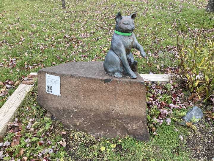 Outdoors calendar: Help clean up the Lakewalk