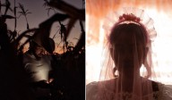 Indox Adds 'Jaripeo' & 'Scarlet Girls' To Growing Slate
