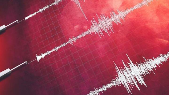 SHOA descarta riesgo de tsunami en las costas de Chile tras temblor que sacudió al norte del país