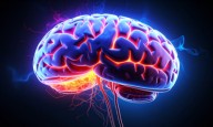 Why women face higher risk of multiple sclerosis and Alzheimer's