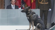 Sánchez impulsa el blindaje del aborto en la Constitución sin el respaldo parlamentario necesario