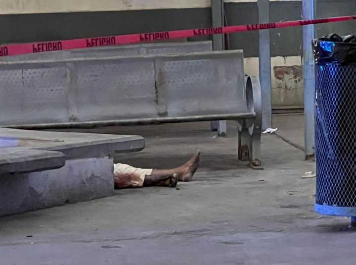 Le Gustó Para Morir