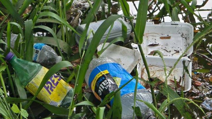 Por lluvias lagunas en Rosario se llenan no sólo de agua también de basura