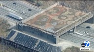 Native plants take root in next phase of wildlife crossing construction over 101 Freeway