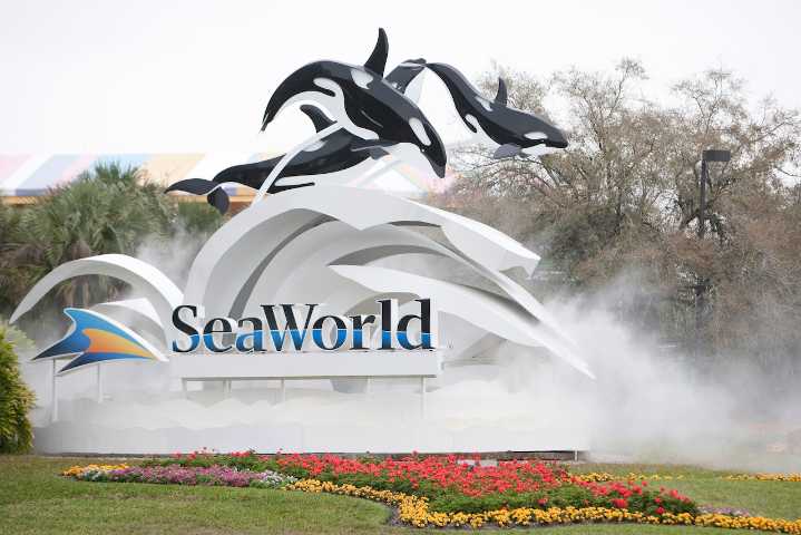 Woman sues Seaworld after duck allegedly struck her on ride