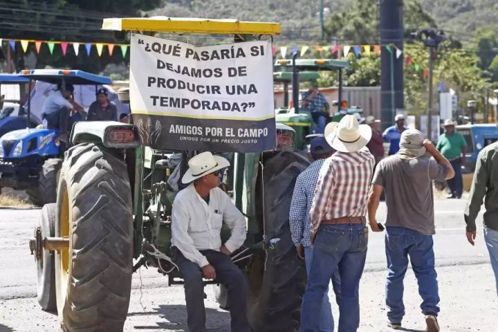 Productores de maíz acuerdan liberar carreteras de forma intermitente; mantienen exigencia de precio justo al Gobierno