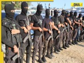 Israeli expert's BIG statement amid peace truce with Palestine: 'Hamas will...'