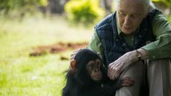 ¿Quién era y qué hizo Jane Goodall, legendaria conservacionista de primates?