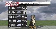 A few raindrops fall as temperatures stay seasonable