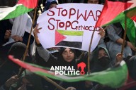 EU enviará a 200 militares a Medio Oriente para supervisar la tregua en Gaza