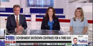 ‘Democrats declaring war’ against government, columnist says