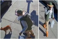 Bronx man accused of chopping off dog owner’s fingers with machete arrested in Queens hit