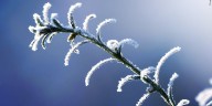 North Country sees first frost of the season