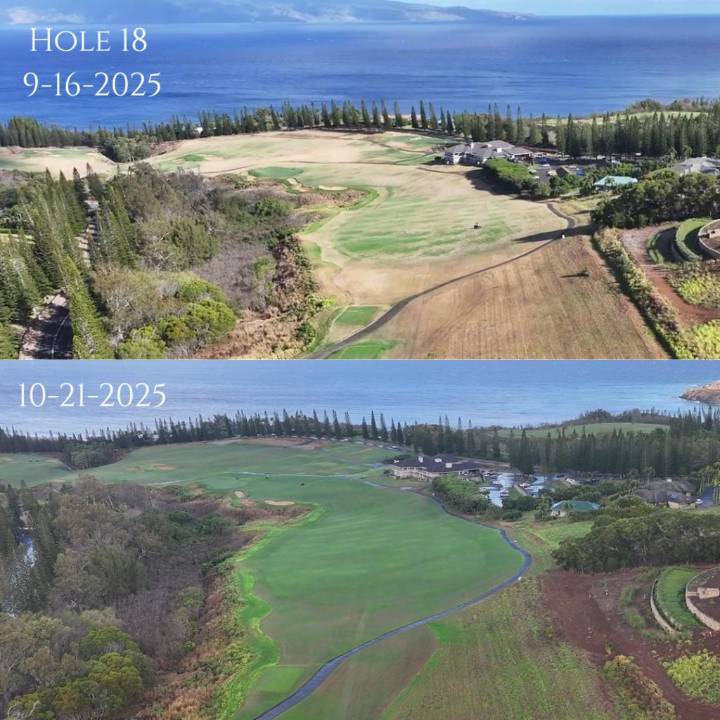 Deadspin | Kapalua's Plantation Course opening, but not in condition to host The Sentry