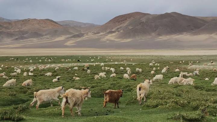 Ladakh LG Reviews Security, Pushes for Winter Tourism Growth