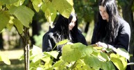 Students learn botany, cooperation